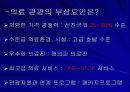 의료관광의 실태와 사례 5페이지