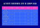 의료관광의 실태와 사례 14페이지