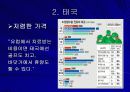 의료관광의 실태와 사례 15페이지