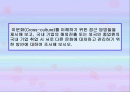 조직문화 유형 1페이지