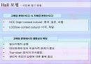 조직문화 유형 10페이지