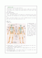 근골격계 구조와 기능 2페이지
