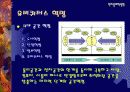 유비쿼터스 5페이지