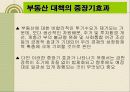 8.31 부동산종합정책(831부동산 정책)의 현황과 문제점 개선방안 19페이지