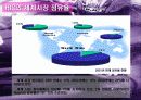 HJC 해외진출 9페이지
