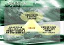 HJC 해외진출 14페이지