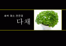 창업 사업계획서를 작성 1페이지