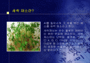 창업 사업계획서를 작성 2페이지