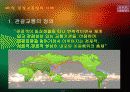 관광교통업 3페이지
