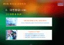 관광교통업 28페이지