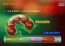 관광교통업 36페이지