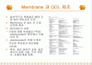 Membrane / GDL 제조 2페이지