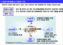 [분석 자료] 휴대인터넷(와이브로, WiBro)의 모든것 8페이지