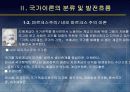 (국가론) 국가이론 (국가론에 대한 이해와 발전 흐름 및 현대국가) 10페이지
