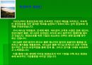 The Body-shop의 마케팅 전략 (SWOT,STP,4P MIX 포함) - 회사 소개, 환경분석, 고객관리 전략, 성공원인 18페이지