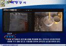 미장공사 4페이지