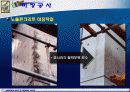 미장공사 20페이지