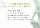 사이버 공간을 통해 나타나는 국민성의 모습 고찰과 발전적 방향 및 문제점에 대한 대안 제시 12페이지