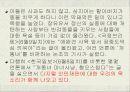 (인터넷 윤리) 사이버상의 인권침해 - 개똥녀 사건과, 연예인 ‘X파일’을 통하여 고찰 3페이지