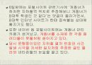 (인터넷 윤리) 사이버상의 인권침해 - 개똥녀 사건과, 연예인 ‘X파일’을 통하여 고찰 7페이지