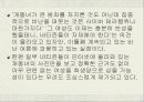 (인터넷 윤리) 사이버상의 인권침해 - 개똥녀 사건과, 연예인 ‘X파일’을 통하여 고찰 10페이지