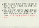 (인터넷 윤리) 사이버상의 인권침해 - 개똥녀 사건과, 연예인 ‘X파일’을 통하여 고찰 11페이지