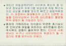 (인터넷 윤리) 사이버상의 인권침해 - 개똥녀 사건과, 연예인 ‘X파일’을 통하여 고찰 15페이지