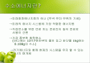 미래의 대체 에너지 수소에너지 2페이지