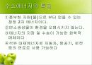 미래의 대체 에너지 수소에너지 3페이지