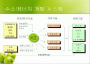 미래의 대체 에너지 수소에너지 5페이지