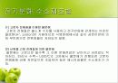 미래의 대체 에너지 수소에너지 13페이지