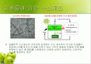 미래의 대체 에너지 수소에너지 15페이지