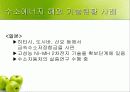 미래의 대체 에너지 수소에너지 20페이지