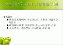 미래의 대체 에너지 수소에너지 22페이지