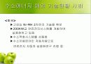 미래의 대체 에너지 수소에너지 24페이지