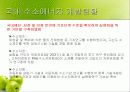 미래의 대체 에너지 수소에너지 25페이지