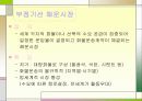 부정기선 해운시장 5페이지