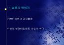 연예인의 누드집 마케팅 전략 4페이지