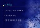 연예인의 누드집 마케팅 전략 22페이지