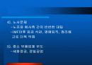 EF쏘나타마케팅전략 13페이지
