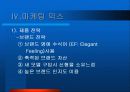 EF쏘나타마케팅전략 18페이지