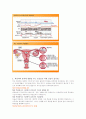 피임의 종류 및 방법 7페이지