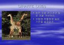 필! 고객서비스 전략은 어떻게 되었지?  PPT 8페이지