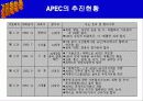 APEC에대해 7페이지