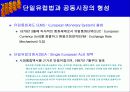 EU(유럽연합)에대해 9페이지