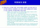 EU(유럽연합)에대해 14페이지