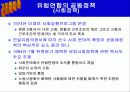 EU(유럽연합)에대해 35페이지