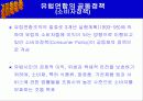 EU(유럽연합)에대해 37페이지