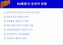 EU(유럽연합)에대해 44페이지