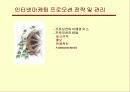 인터넷 마케팅 41페이지